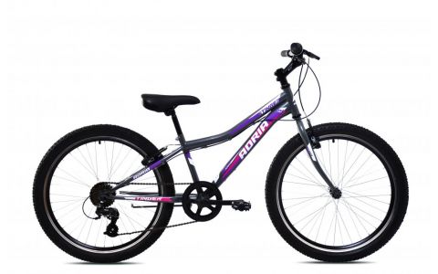 DETSKÝ BICYKEL CAPRIOLO ADRIA STINGER 24/7HT FIALOVO-SIVÝ