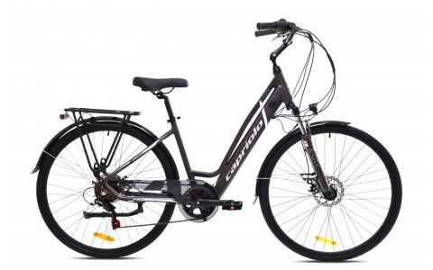 ELEKTRICKÝ BICYKEL E-CITY SIVO-STRIEBORNÉ