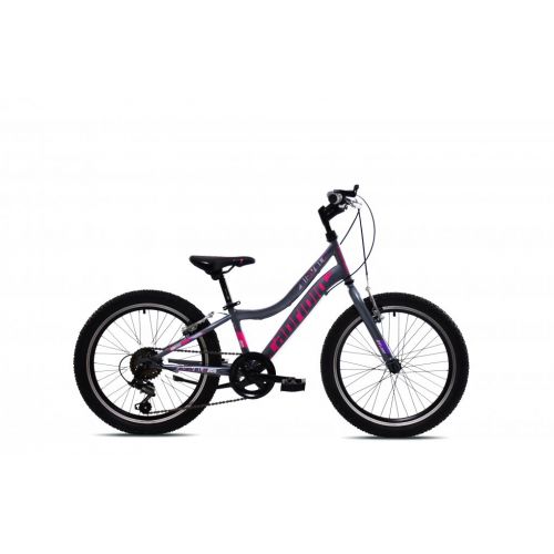 DETSKÝ BICYKEL CAPRIOLO DIAVOLO 200 20"X11" SIVO-FIALOVA, 2025
