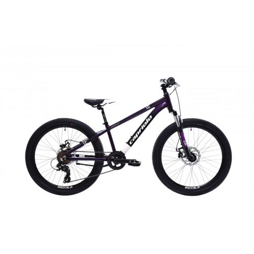 HORSKÝ BICYKEL CAPRIOLO MTB LC 24"/AL FIALOVO-MODRÝ