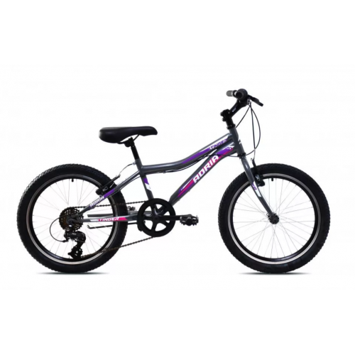 DETSKÝ BICYKEL CAPRIOLO ADRIA STINGER 20/7HT SIVO-FIALOVÝ 2025