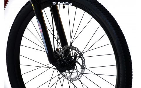 HORSKÝ BICYKEL CAPRIOLO LC 9.X MTB 29"/21HT , VEĽ. 17, 2024