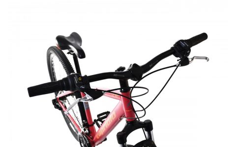 HORSKÝ BICYKEL CAPRIOLO LC 9.X MTB 29"/21HT , VEĽ. 17, 2024