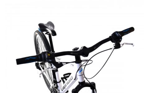 HORSKÝ BICYKEL CAPRIOLO LC 9.X MTB 29"/21HT BIELO-ČIERNÝ, VEĽ. 17, 2024