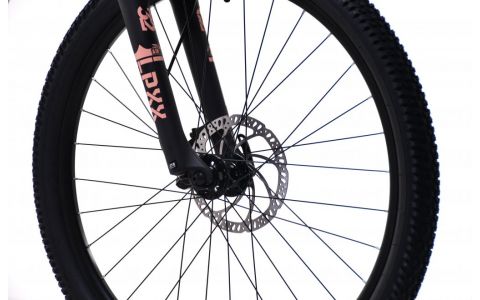 HORSKÝ BICYKEL CAPRIOLO MTB-AL-EVE   7.7-  GREY PERLA