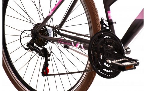 TREKINGOVÝ BICYKEL CAPRIOLO SUNRISE L 28"/17" GRAFIT