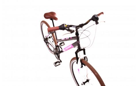 TREKINGOVÝ BICYKEL CAPRIOLO SUNRISE L 28"/17" GRAFIT