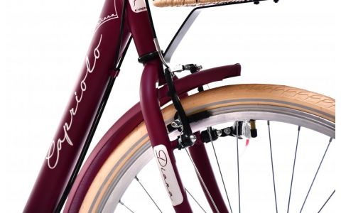 MESTSKÝ BICYKEL CAPRIOLO TOUR-DIANA CITY 28"/6HT violet-with basket