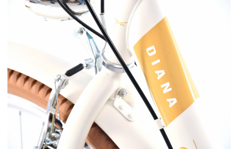 DETSKÝ BICYKEL CAPRIOLO CTB DIANA 24" beige