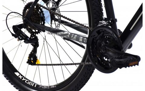 HORSKÝ BICYKEL CAPRIOLO MTB OXYGEN 29"/21HT black silver white