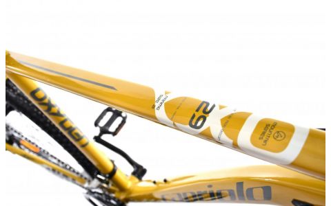 HORSKÝ BICYKEL CAPRIOLO MTB OXYGEN 29"/21HT mustard