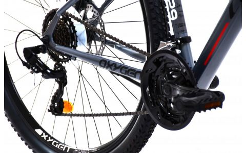 HORSKÝ BICYKEL CAPRIOLO MTB OXYGEN 29"/21HT silver black