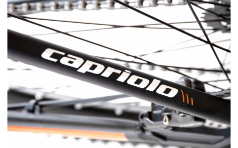 HORSKÝ BICYKEL CAPRIOLO MTB LC 29-3 29" 19" BLACK SILVER
