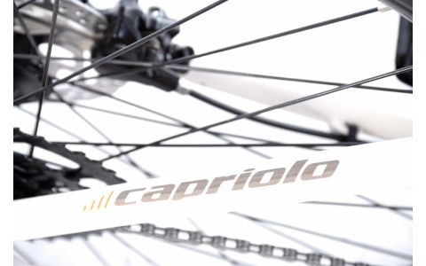 HORSKÝ BICYKEL CAPRIOLO MTB LC 29-4 19" White