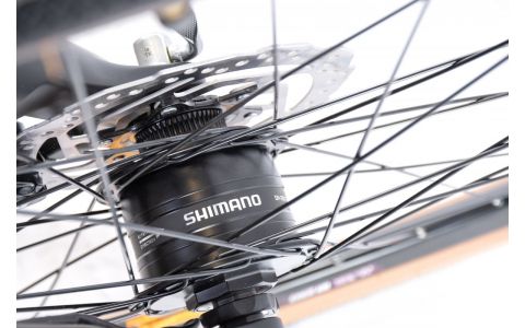 MESTSKÝ BICYKEL CAPRIOLO ELEGANCE-DISC DINAMO HUB-21sp