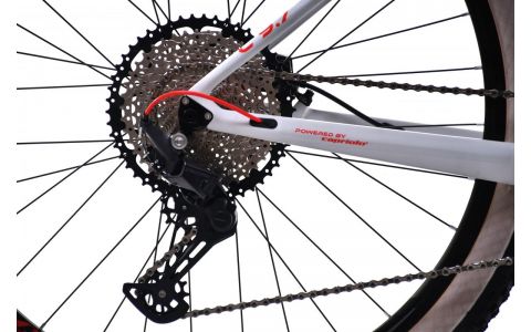 HORSKÝ BICYKEL CAPRIOLO C PRO C MTB 9.7 2022 29" 19" GREY RED CARBON, 2023